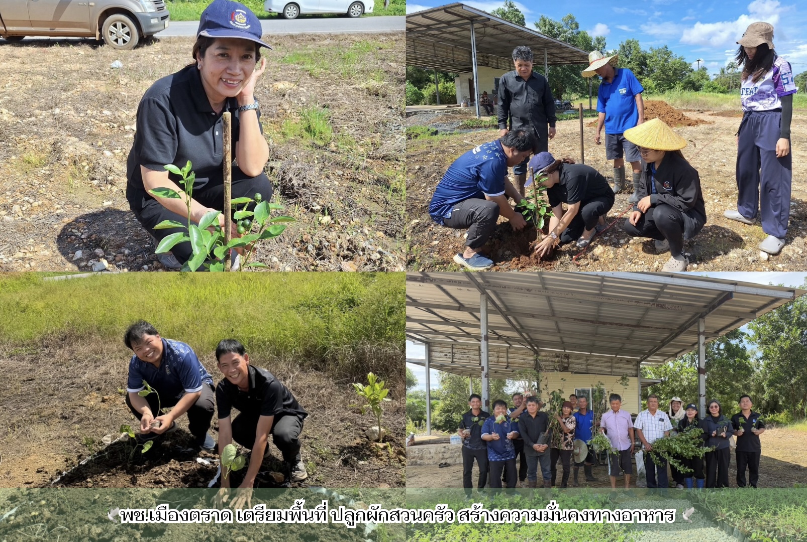 🕊️พช.เมืองตราด เตรียมพื้นที่ ปลูกผักสวนครัว สร้างความมั่นคงทางอาหาร 🕊️