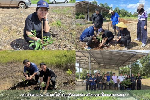 🕊️พช.เมืองตราด เตรียมพื้นที่ ปลูกผักสวนครัว สร้างความมั่นคงทางอาหาร 🕊️