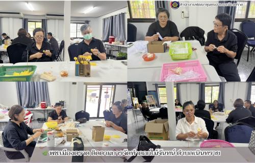 🌿 พช.เมืองตราด ติดตามการจัดทำดอกไม้จันทน์ ตำบลเนินทราย 